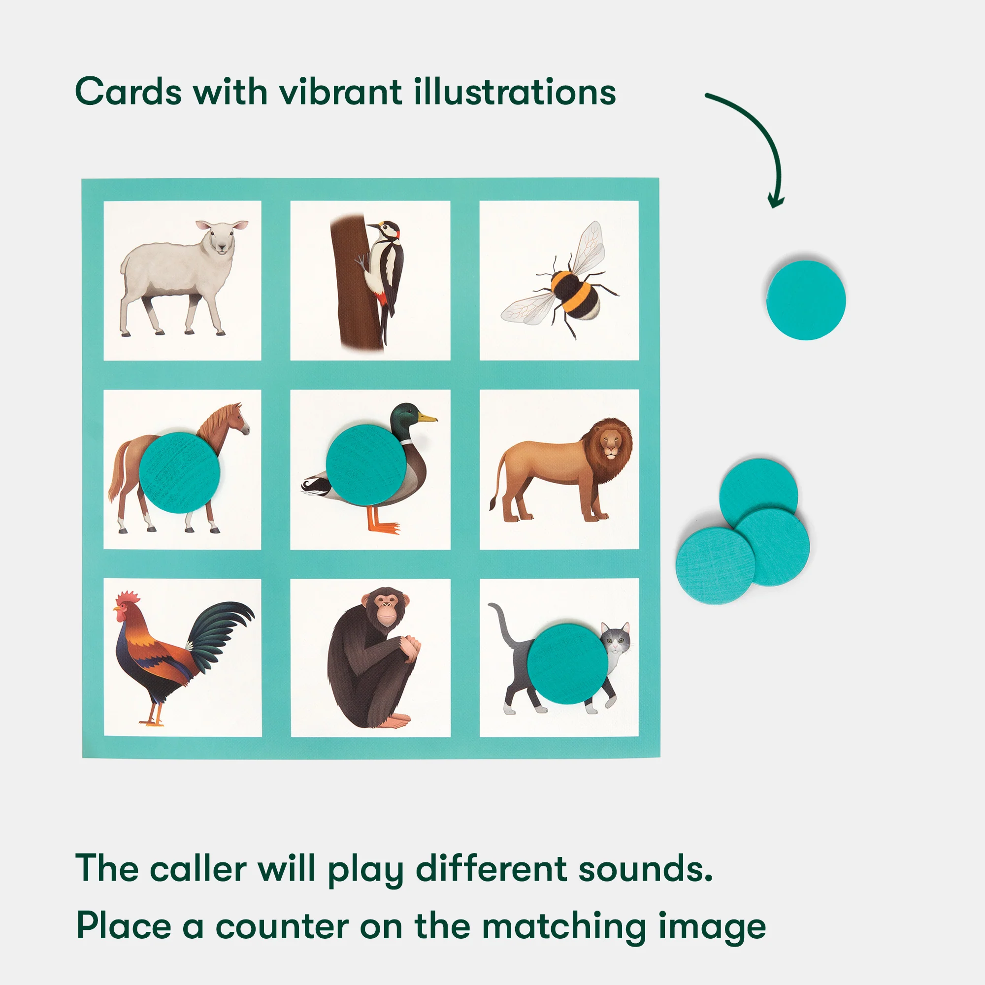 Animal Bingo - Image 5