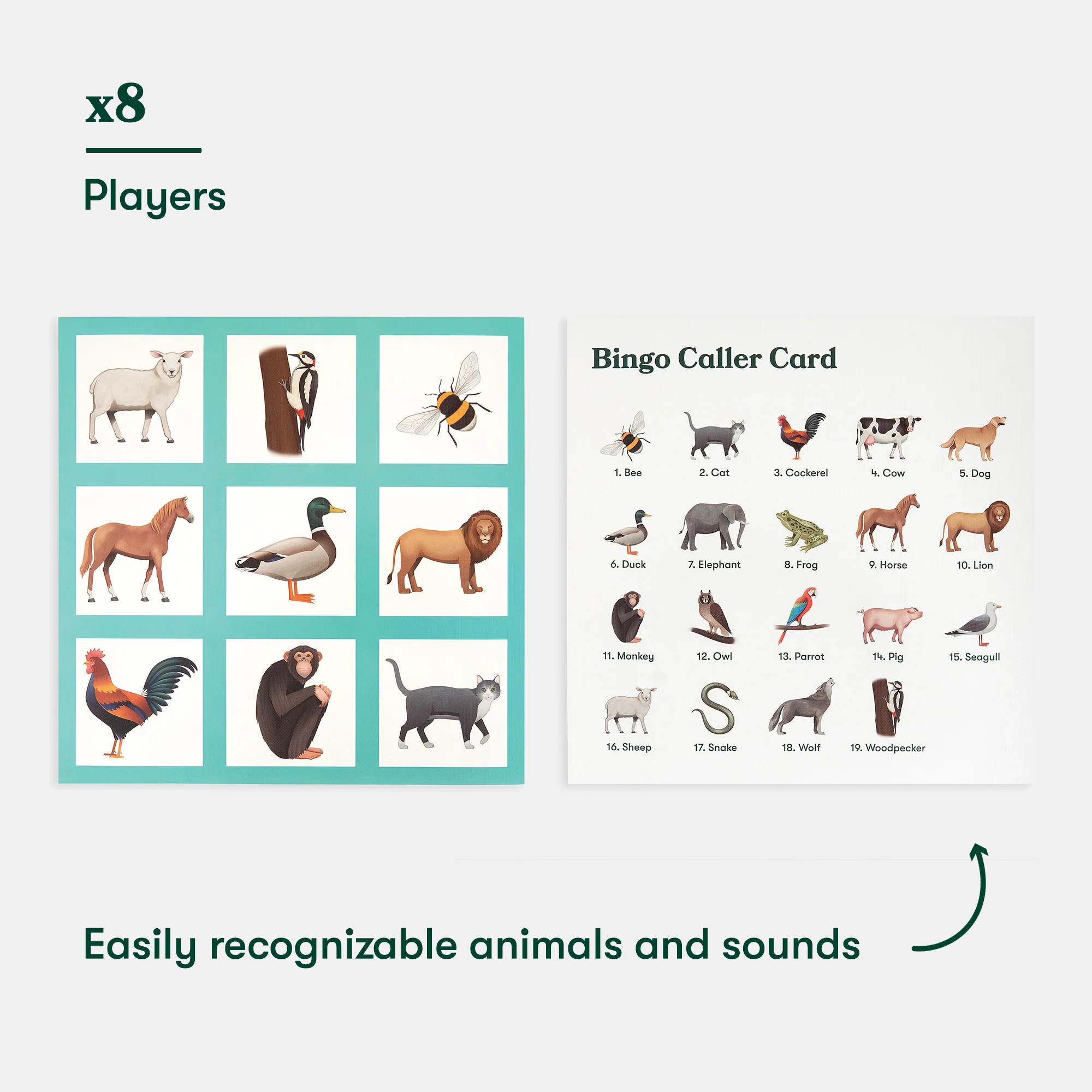 Animal Bingo - Image 8