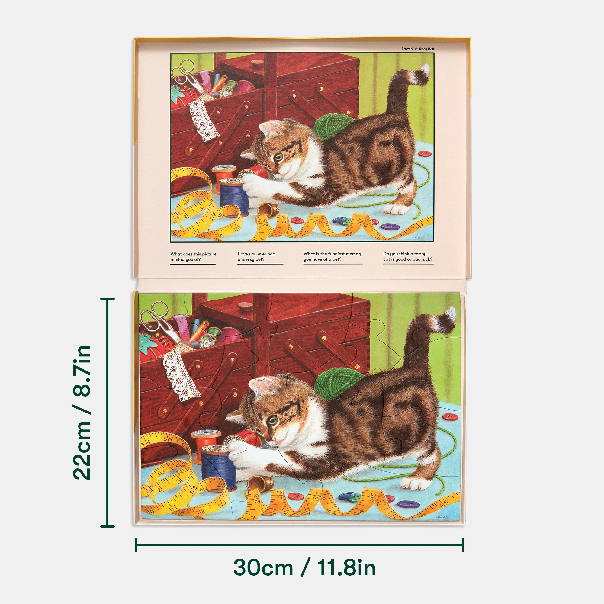 Life of a Kitten - Image 4