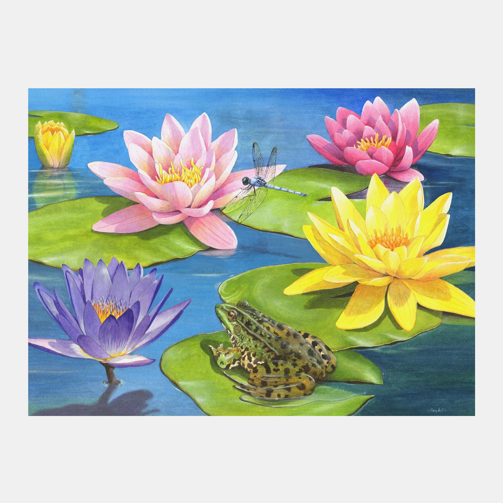 Lily Pond - Image 10