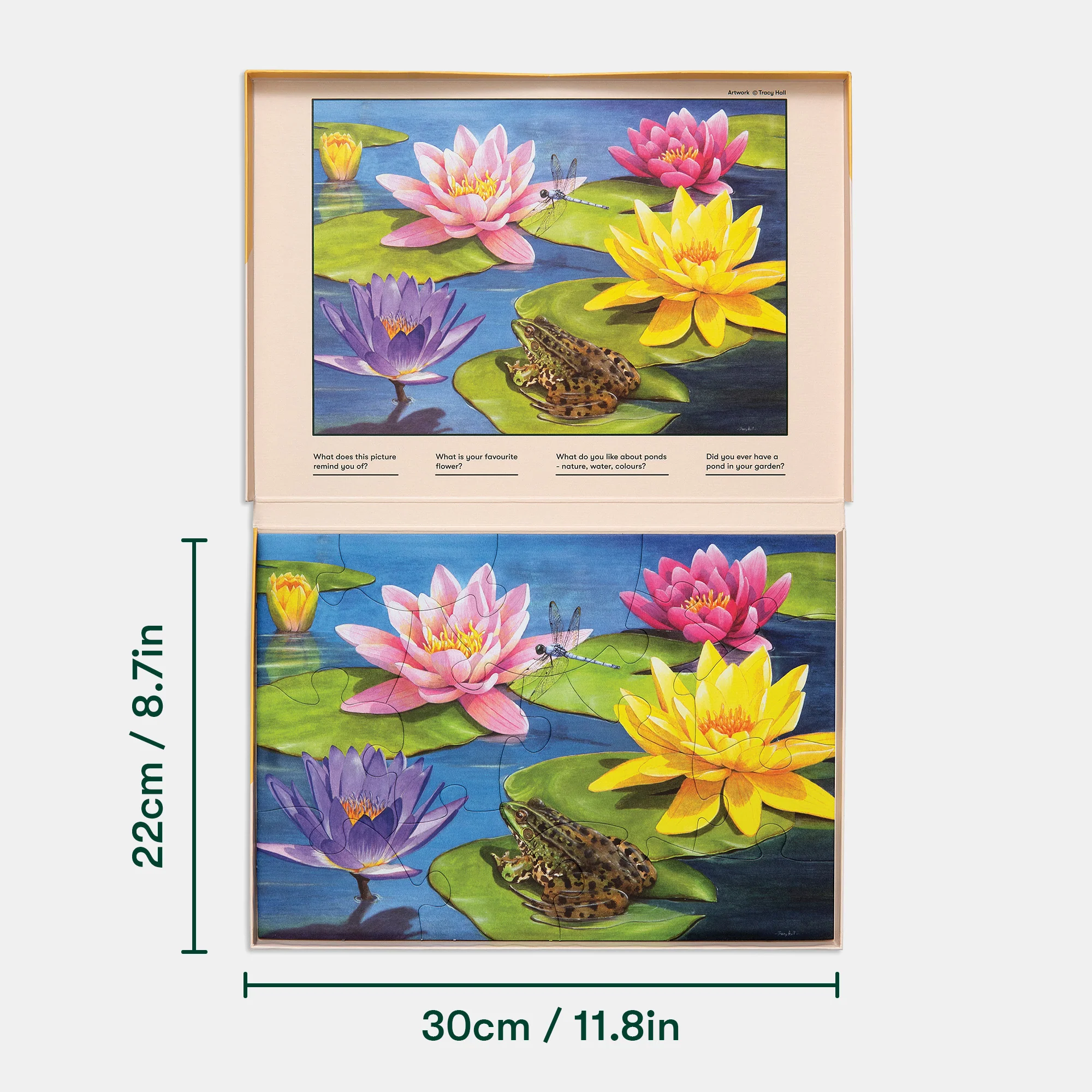 Lily Pond - Image 4
