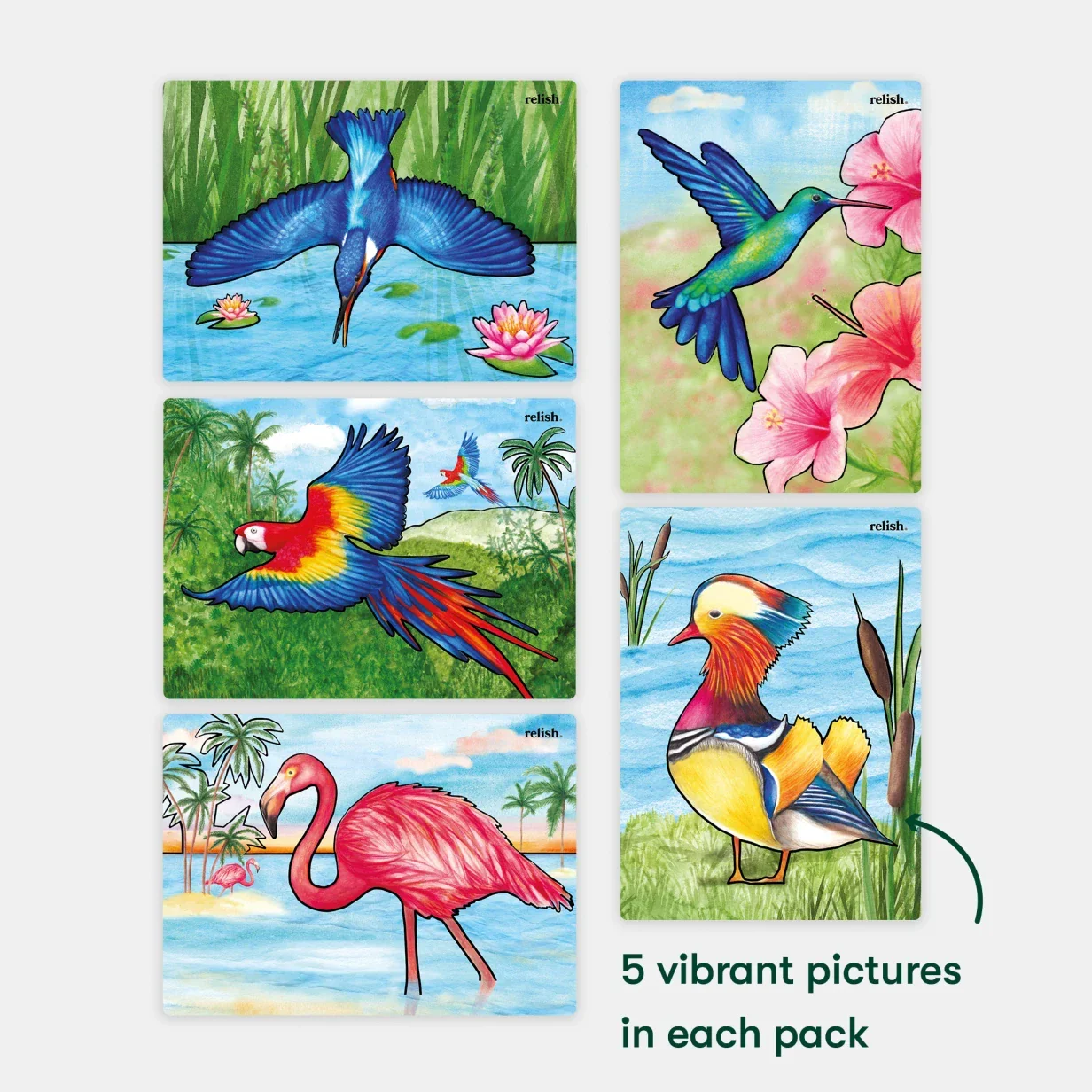 Magnificent Birds - Image 5
