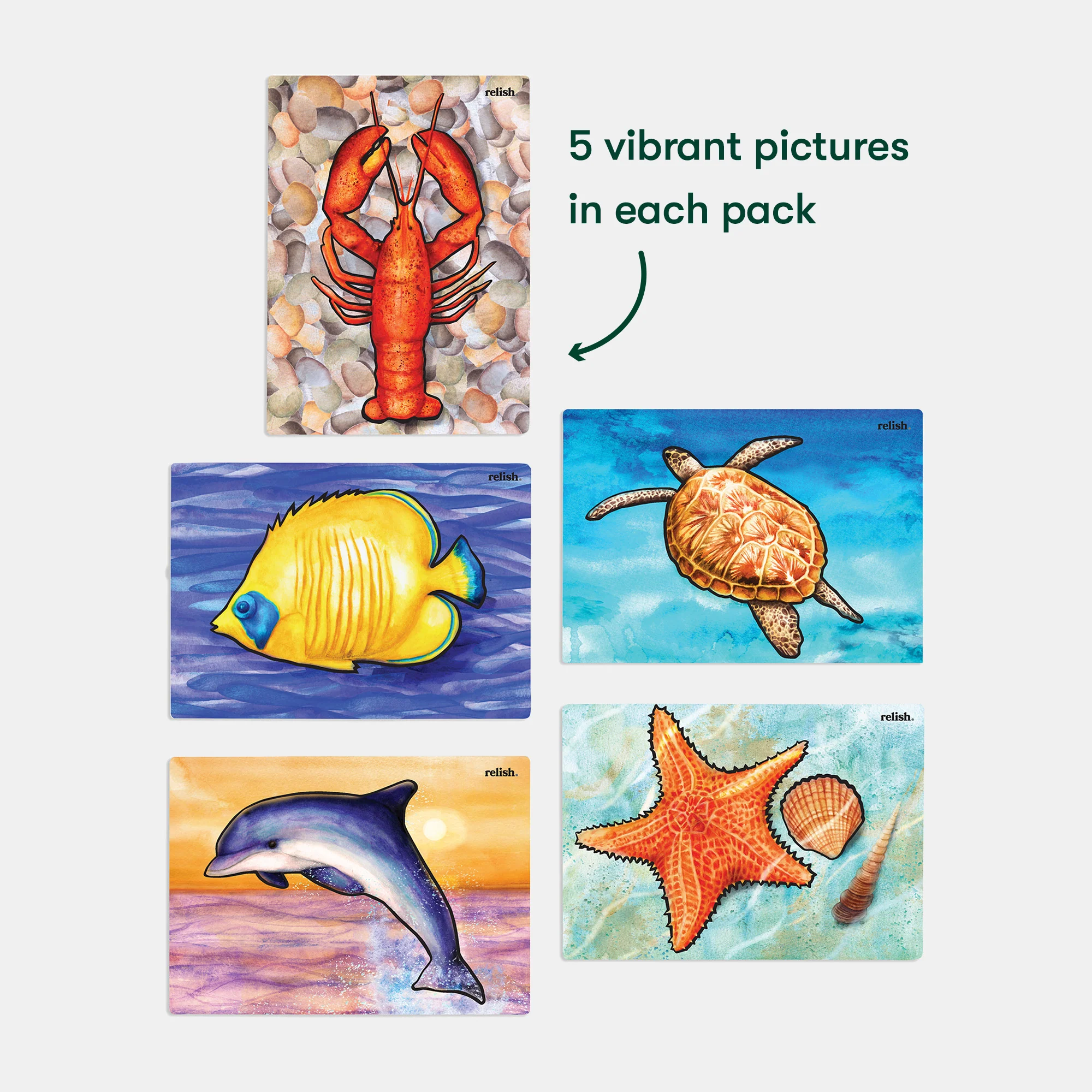 Mid-Late Stage Pack - Image 5