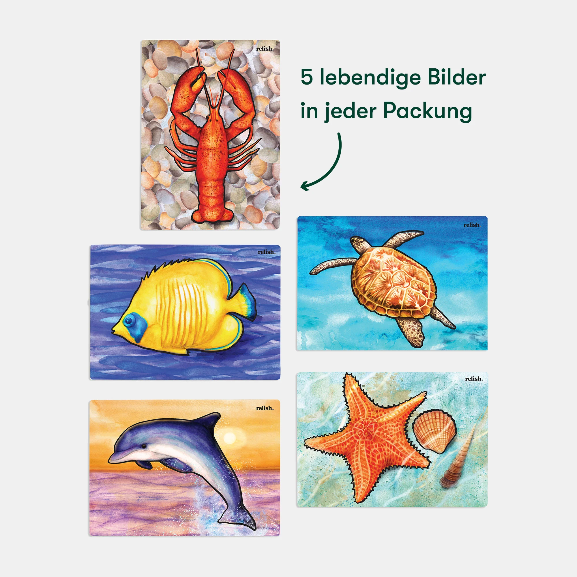 Ocean Life - Image 12