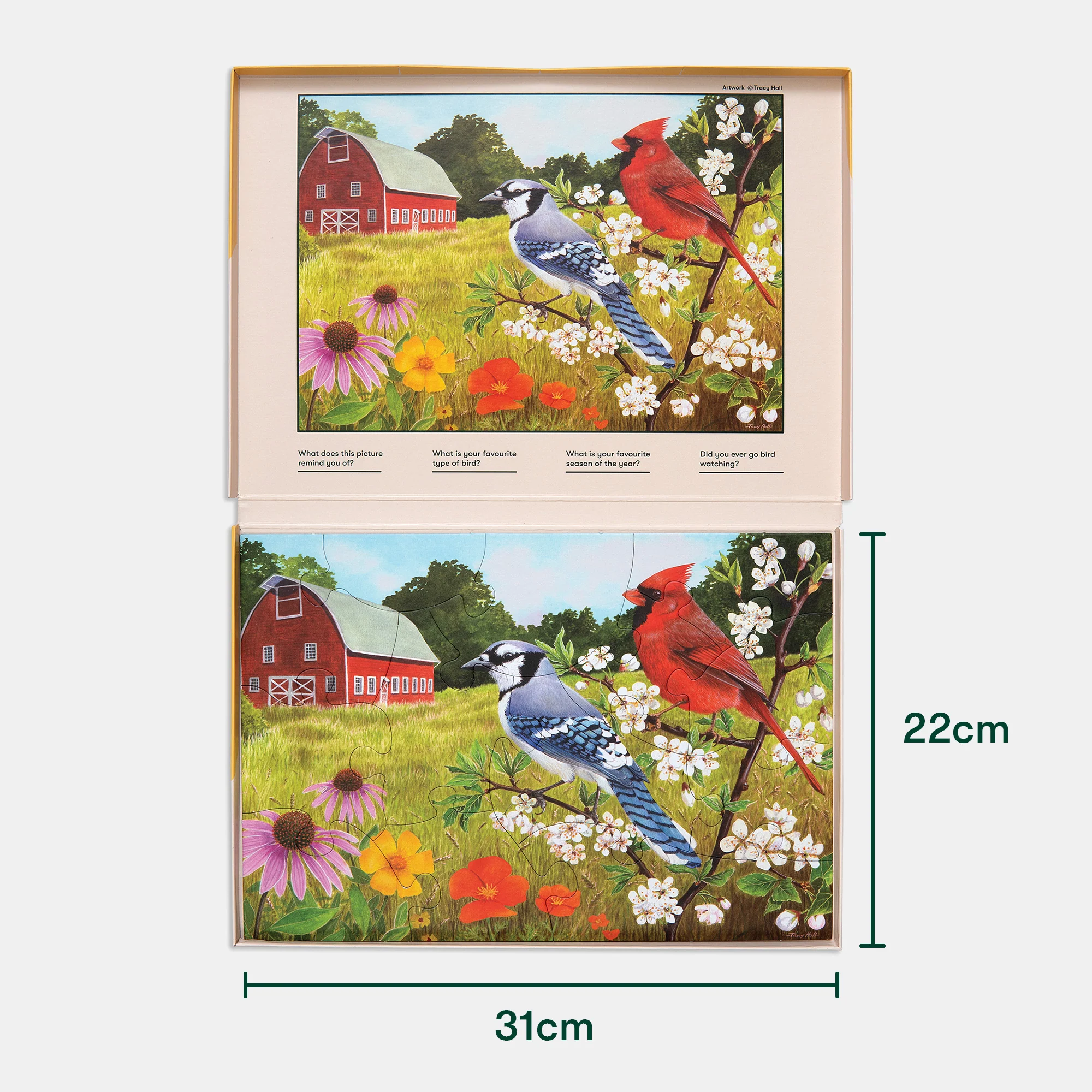 Summer Birds - Image 13